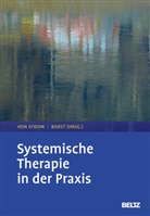 Borst, Ulrike Borst, Kirsten von Sydow, Kirsten von Sydow - Systemische Therapie in der Praxis