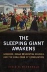 David B MacDonald, David B. Macdonald, University of Toronto Press Scholarly Pu - Sleeping Giant Awakens