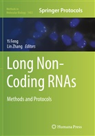 Y Feng, Yi Feng, Zhang, Zhang, Lin Zhang - Long Non-Coding RNAs