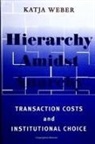 Katja Weber - Hierarchy Amidst Anarchy