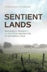 Piergiorgio Di Giminiani, Piergiorgio Di Giminiani - Sentient Lands
