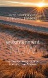 Steven Pinker - Enlightenment Now