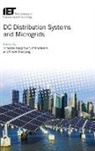 Frede Blaabjerg, Frede (Professor Blaabjerg, Dragi&amp;, Tomislav (Associate Professor Dragicevic, Pat Wheeler, Pat (Professor Wheeler - DC Distribution Systems and Microgrids