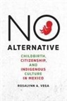 Rosalynn A Vega, Rosalynn A. Vega - No Alternative