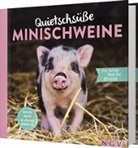 Katharina Bensch - Quietschsüße Minischweine