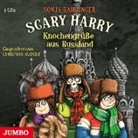 Sonja Kaiblinger, Christian Rudolf - Scary Harry. Knochengrüße aus Russland, 3 Audio-CDs (Audio book)