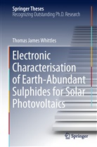Thomas James Whittles - Electronic Characterisation of Earth-Abundant Sulphides for Solar Photovoltaics