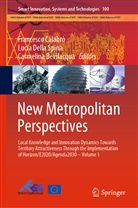 Carmelina Bevilacqua, Francesco Calabrò, Luci Della Spina, Lucia Della Spina - New Metropolitan Perspectives