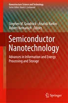 Stephen Goodnick, Stephen M. Goodnick, Anatol Korkin, Anatoli Korkin, Robert Nemanich - Semiconductor Nanotechnology