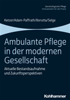 Renat Adam-Paffrath, Renate Adam-Paffrath, Manfre Borutta, Manfred Borutta, Rut Ketzer, Ruth Ketzer... - Ambulante Pflege in der modernen Gesellschaft