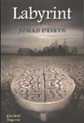 Johan Deseyn - Labyrint