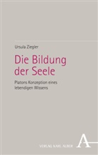 Ursula Ziegler - Die Bildung der Seele