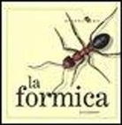 Ting Morris, Desiderio Sanzi - La formica