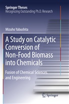 Mizuho Yabushita - A Study on Catalytic Conversion of Non-Food Biomass into Chemicals