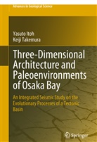 Yasut Itoh, Yasuto Itoh, Keiji Takemura - Three-Dimensional Architecture and Paleoenvironments of Osaka Bay