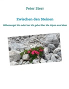 Peter Sterr - Zwischen den Steinen