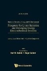 Laure Monconduit &amp; Laurence Croguennec, Laurence Croguennec, Croguennec Laurence, Laure Monconduit, Monconduit Laure - Prospects For Li-ion Batteries And Emerging Energy Electrochemical Systems