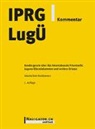 Jolanta Kren Kostkiewicz - IPRG/LugÜ Kommentar