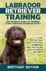 Brittany Boykin - Labrador Retriever Training