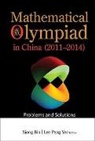 Bin Xiong &amp; Peng Yee Lee, Bin Xiong, Peng Yee Lee, Bin Xiong - MATH OLYMPIAD CHN (2011-2014)