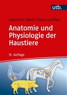 Gotthold Gäbel, Klaus Loeffler, He Pfannkuche, Helga Pfannkuche - Anatomie und Physiologie der Haustiere
