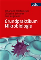 Christin Schimek, Christine Schimek, Lisa Siegmund, Johannes Wöstemeyer, Johannes (Prof. Dr. Wöstemeyer - Grundpraktikum Mikrobiologie
