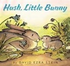 David Ezra Stein, David Ezra Stein - Hush, Little Bunny