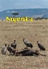 Louise Sommer - Nigerika