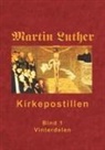 Finn B. Andersen, Fin B Andersen - Kirkepostillen - Vinterdelen