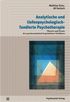 Matthia Elzer, Matthias Elzer, Ulrich Ertel, Alf Gerlach - Analytische und tiefenpsychologisch fundierte Psychotherapie