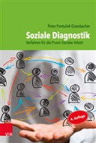 Peter Pantucek-Eisenbacher - Soziale Diagnostik