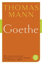 Thomas Mann, Affolter, Hanspeter Affolter, Affolter (Dr.), Yahya Elsaghe, Yahy Elsaghe (Prof. Dr.) - Goethe