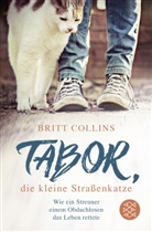 Britt Collins - Tabor, die kleine Straßenkatze
