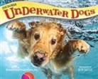 Inc Browntrout Publishers, Not Available (NA) - Underwater Dogs 2019 Calendar