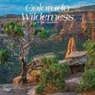Inc Browntrout Publishers, Not Available (NA) - Colorado Wilderness 2019 Calendar