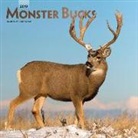 Inc Browntrout Publishers, Not Available (NA) - Monster Bucks 2019 Calendar
