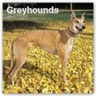 Not Available (NA) - Greyhounds 2019 Calendar