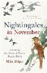 Mike Dilger, Dilger Mike - Nightingales in November