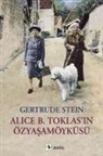 Gertrude Stein - Alice B. Toklasin Özyasamöyküsü