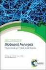 Sabu (Mahatma Gandhi University Thomas, Sabu Pothan Thomas, Rubie Mavelil-Sam, Rubie (Bishop Moore College Mavelil-Sam, Laly A Pothan, Laly A (Bishop Moore College Pothan... - Biobased Aerogels