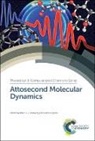 Marc J J (Max Born Institute Vrakking, Prof. Marc J J (Max Born Institute Vrakking, Franck Lepine, Franck (Universite Lyon/CNRS Lepine, Marc J J Vrakking, Marc J J (Max Born Institute Vrakking... - Attosecond Molecular Dynamics