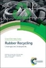 PROSENJI JIN KUK KIM, Jin Kuk (Gyeongsang National University Kim, Jin Kuk Saha Kim, Prof. Jin Kuk (Gyeongsang National University Kim, M K Aswathi, M K (Mahatma Gandhi University Aswathi... - Rubber Recycling