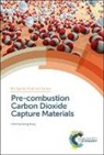 Prof. Qiang (Beijing Forestry University Wang, Qiang Wang, Qiang (Beijing Forestry University Wang, Prof. Qiang (Beijing Forestry University Wang, Qiang Wang, Qiang (Beijing Forestry University Wang - Pre-Combustion Carbon Dioxide Capture Materials
