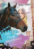 Antje Szillat - Drei Pferdefreundinnen - Filmpferd in Not