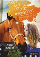 Antje Szillat - Drei Pferdefreundinnen - Diebesjagd am Set