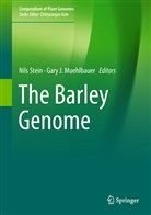 J Muehlbauer, J Muehlbauer, Gary Muehlbauer, Gary J. Muehlbauer, Nil Stein, Nils Stein - The Barley Genome