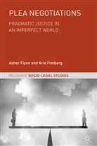 Ashe Flynn, Asher Flynn, Arie Freiberg - Plea Negotiations