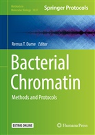 Remus T. Dame, Remu T Dame, Remus T Dame - Bacterial Chromatin