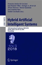 Enrique A de la Cal et al, Enrique A. de la Cal, Emilio Corchado, Francisco Javier de Cos Juez, Francisco Javier de Cos Juez, Enrique A. de la Cal... - Hybrid Artificial Intelligent Systems