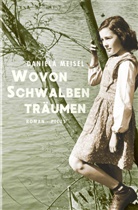 Daniela Meisel - Wovon Schwalben träumen